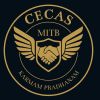 Office of Corporate Engagement and Career Advisory Services, MITB logo - Similar company to Orange Strokes