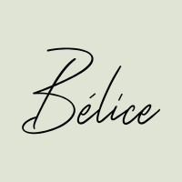 Bélice logo - Similar company to B Mart Group