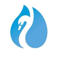 Whiteswan TV News logo - Similar company to Trilionix