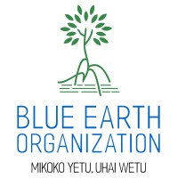 Blue Earth Organization logo - Similar company to Pawisca - Platform For African Women In Smart Climate Agriculture