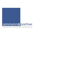 ammann&partner logo - Similar company to Macrostep B.V