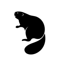 Castoro SPA logo - Similar company to 4C Srl