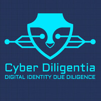 Cyber Diligentia