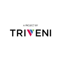 Triveni logo - Similar company to Triveni Group