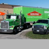 Team Wilson Alliance -SERVPRO logo - Similar company to Servpro Team Wilson