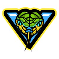 Vipers Basketball Club, Inc logo - Similar company to Jr Boom Girls Basketball Club