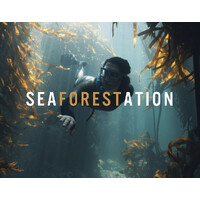 Seaforestation logo - Similar company to The Climate Foundation