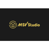 MSV Studio logo - Similar company to Suntoon Studio