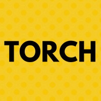 Torch Literary Arts logo - Similar company to Ashwell