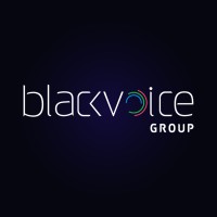 Blackvoice Media Group logo - Similar company to Evergreen Automation