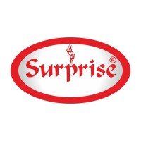 Surprise Furniture logo - Similar company to Mani Plastic Products