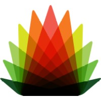 Canadian Association of Community Television Users and Stations (CACTUS)