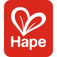 Hape Holding AG logo - Similar company to Eurekakids