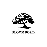 Bloomroad logo - Similar company to Bloomroad