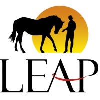 Leap Equine