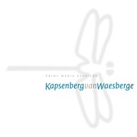 Kapsenberg van Waesberge logo - Similar company to Impressed