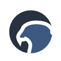 Falcon Aerospace @NYUAD logo - Similar company to Violet Racing — Nyuad Fsae