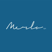 Merlo SpA logo - Similar company to Mod Creative Group