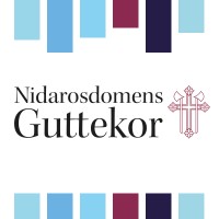 Nidarosdomens Guttekor logo - Similar company to Trondheim Symfoniorkester & Opera (Tso)