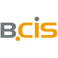 BCIS IT-Systeme GmbH & Co. KG logo - Similar company to Projectmakers
