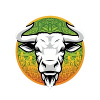 Vitendo Ltd logo - Similar company to Thrive Nest