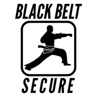Black Belt Secure logo - Similar company to Hitb+