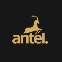 Antel Design Studio logo - Similar company to Alias Technologies