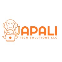 Japali Tech Solutions LLC logo - Similar company to Boon Digital Solutions