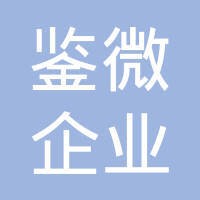 上海鉴微企业管理咨询有限公司 logo - Similar company to 高伟达软件股份有限公司