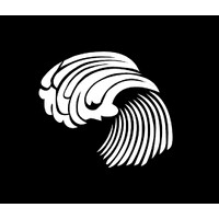 Awwe Studio logo - Similar company to Cenitz Studio