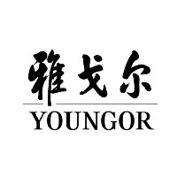 雅戈尔集团股份有限公司 logo - Similar company to Youngor Group Co., Ltd.