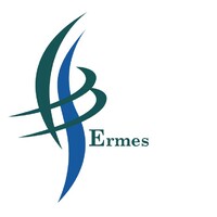 Ermes Srls logo - Similar company to Worthwhile Training