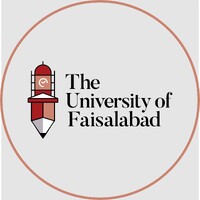Placement Bureau - The University of Faisalabad logo - Similar company to Multisite Dev