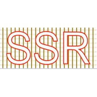SSR Design & Detailing logo - Similar company to Zedq Engineering Pvt Ltd