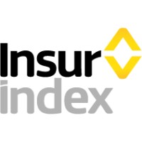 Insurindex logo - Similar company to Morning Data