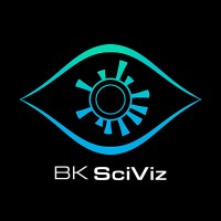BK SciViz logo - Similar company to Inmywork Studio