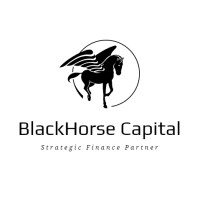 BlackHorse Capital logo - Similar company to Ingenious Advisors