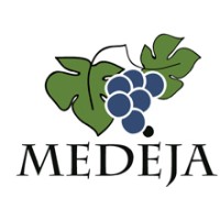 Medeja.lt logo - Similar company to Ntlab