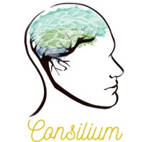 consilium sarl logo - Similar company to Cdm Francilien