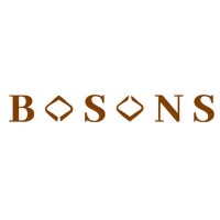 Bosons Consulting Group logo - Similar company to Halnex Sdn Bhd