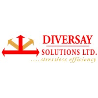 Diversay DDT logo - Similar company to Diversay Solutions Limited