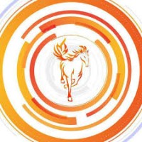 Zenith logo - Similar company to Utsav.Sggs