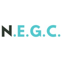 Nigereastgroup General Trading logo - Similar company to Levelburger