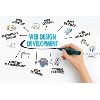 custom ecommerce website development logo - Similar company to Website Solutions India