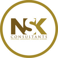 NSK Consultants logo - Similar company to Nsk Tech
