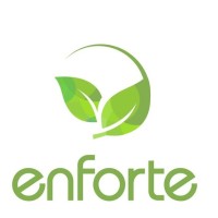 Enforte Co., Ltd. logo - Similar company to Affscale