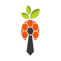 Pinya HR logo - Similar company to Targetty