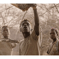 Children of Honey logo - Similar company to Soyka Nl