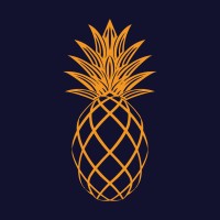 Paloneo logo - Similar company to Koolooai