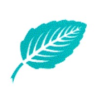 Beech Underwriting Agencies logo - Similar company to Occam Underwriting
